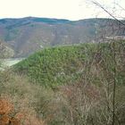 Trechtingshausen / Morgenbachtal,2008