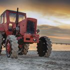 Trecker am Ahlbecker Strand