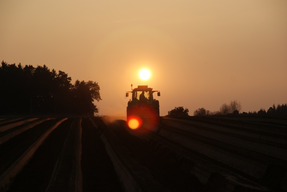 Trecker bei Sonnenuntergang