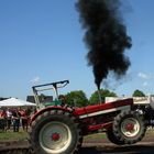 Trecker Treck 2008