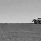 Treckerfahrer auf dem Weg nach Hause