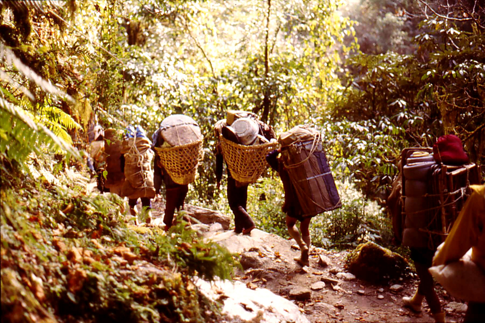 Trecking in Nepal