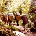 Trecking in Nepal