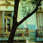 Tree and Balcony, Barrio de Palermo