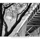 Tree and Bridge 