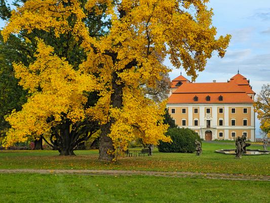 Tree and castle