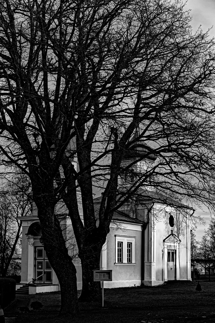 Tree and church