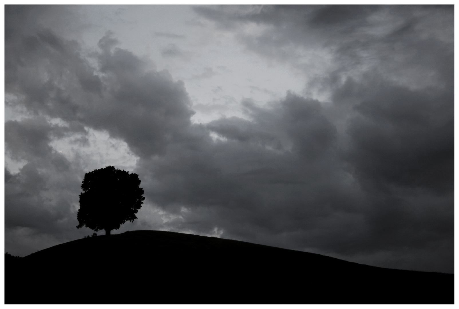 tree and clouds