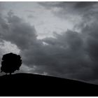 tree and clouds