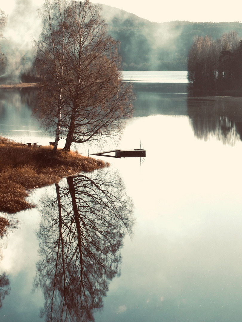 Tree and Wharf