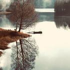 Tree and Wharf