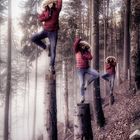 Tree Artists