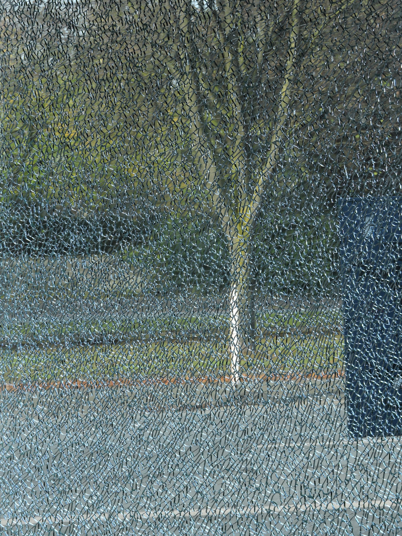 Tree behind broken glass