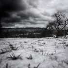 Tree & Clouds