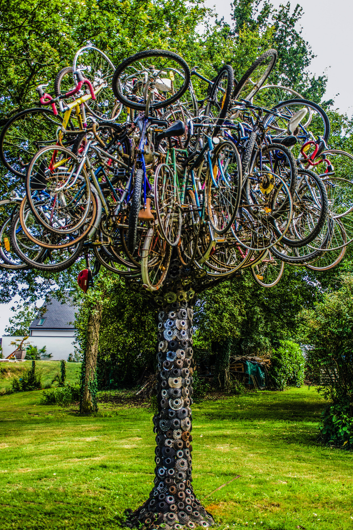 Tree cycle