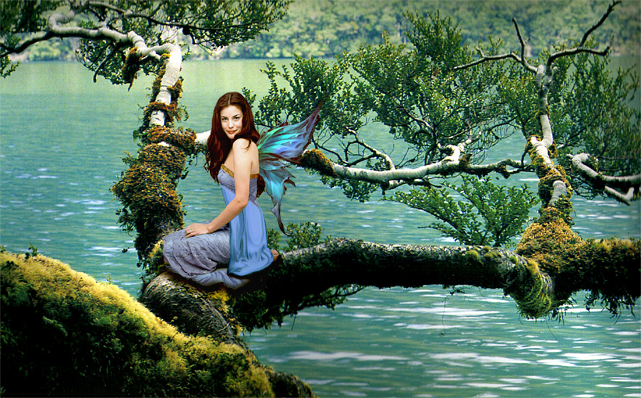 Tree Fairy II
