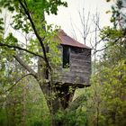 Tree House