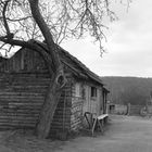 Tree & Hut