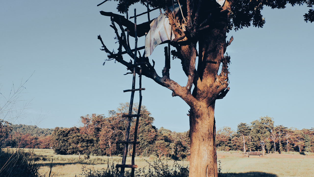 Tree Hut in the Wilderness.