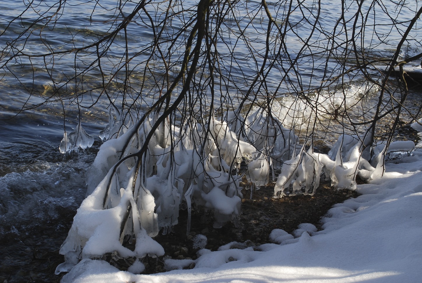 tree-ice