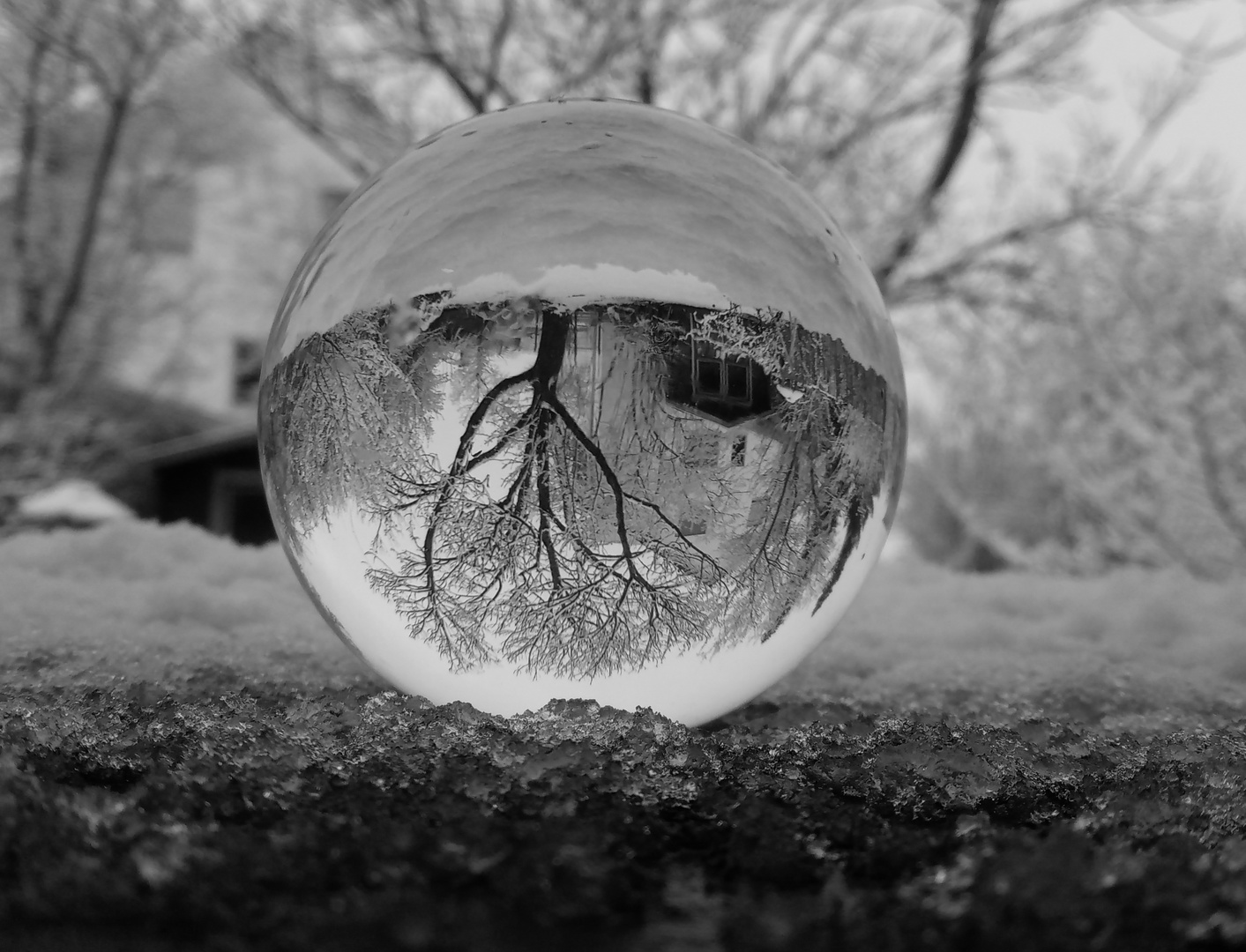 Tree in a glas sphere