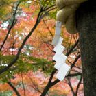 Tree in Shrine