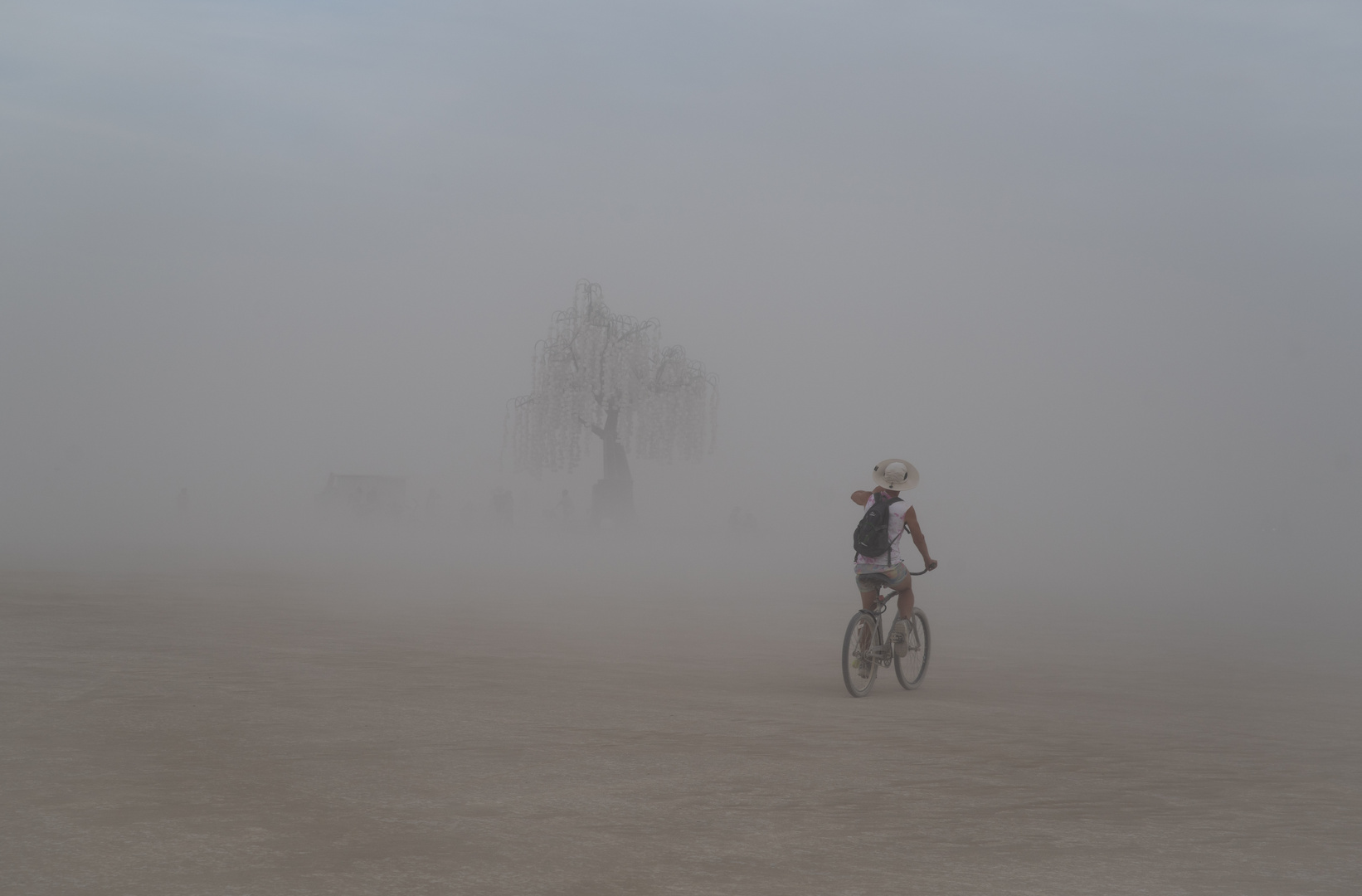 Tree in the Desert