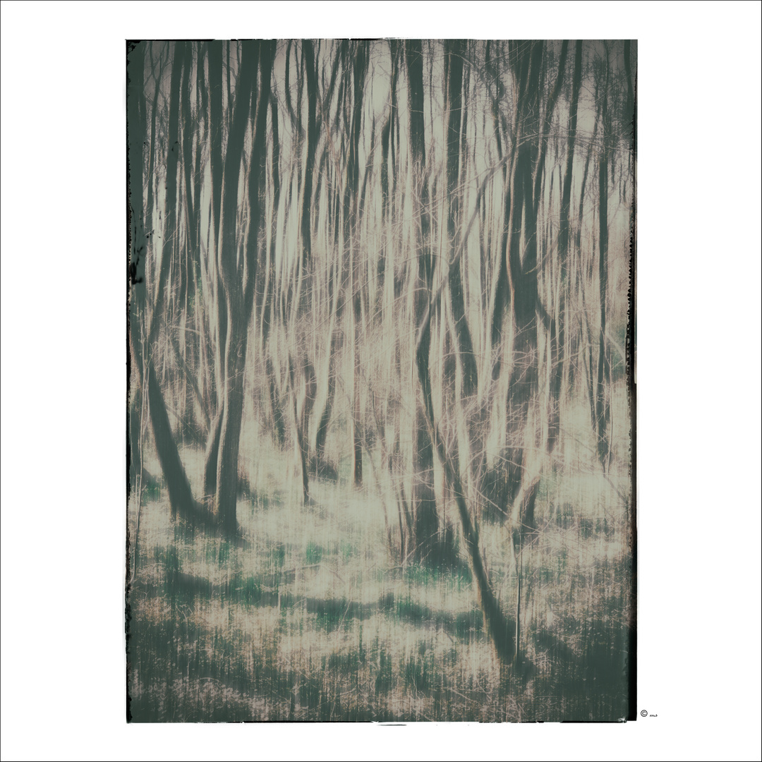 ~ tree Land #3 ~