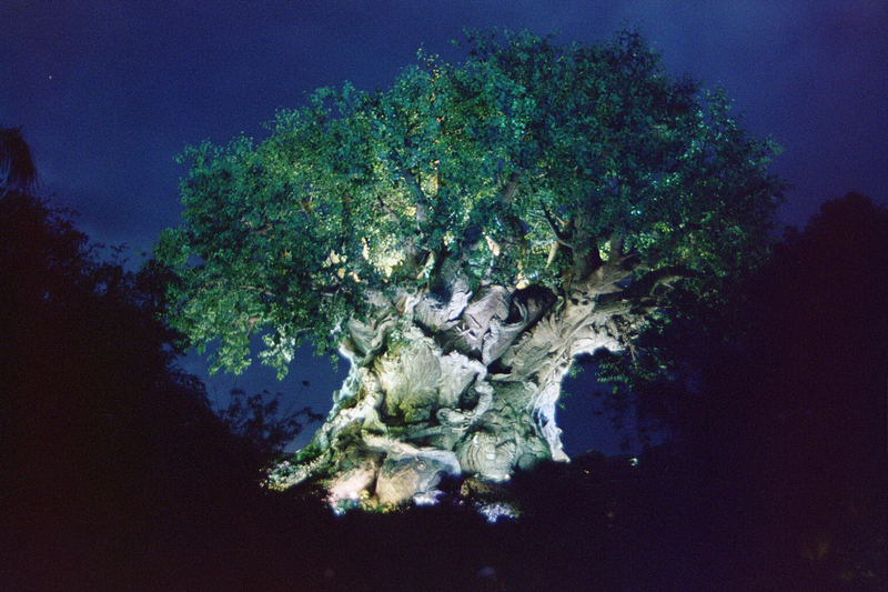 Tree of Life