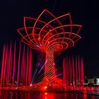 Tree of Life - EXPO 2015