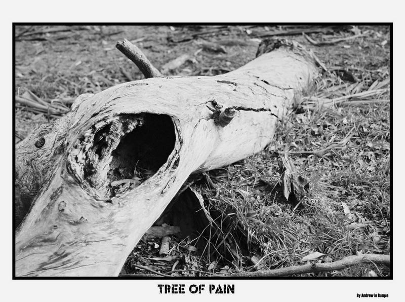 Tree Of Pain