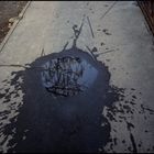 tree on a water pad