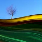 Tree on chiffon field 