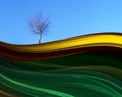 Tree on chiffon field 