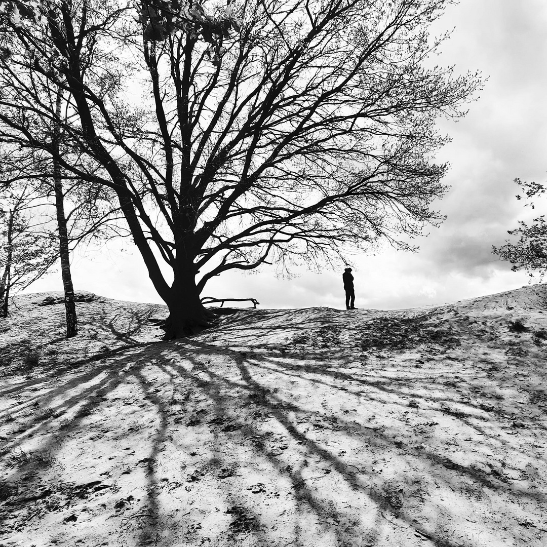 Tree with a person