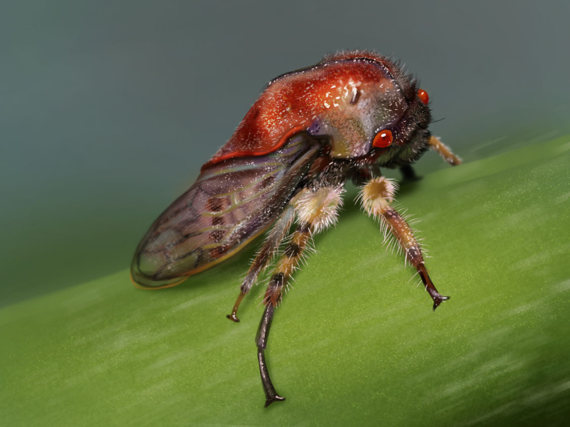 Treehopper