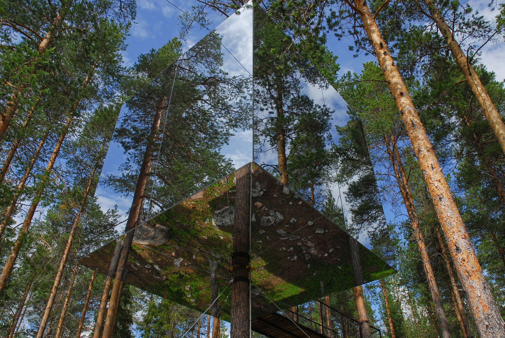 Treehotel 1