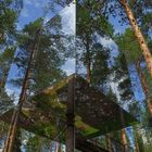 Treehotel 1