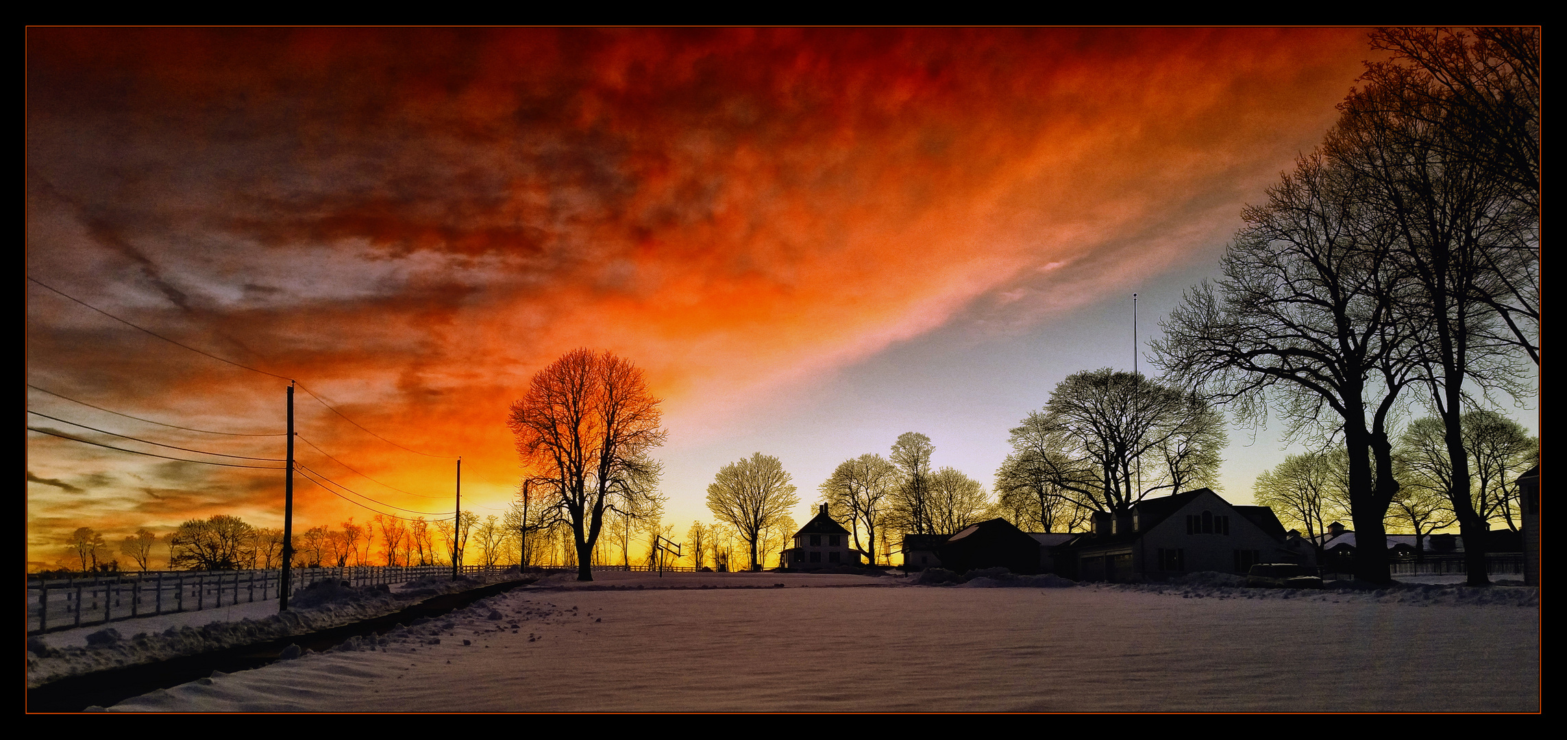 Trees against the Sunset sky