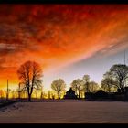 Trees against the Sunset sky