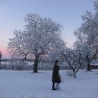 Trees and a girl walking by