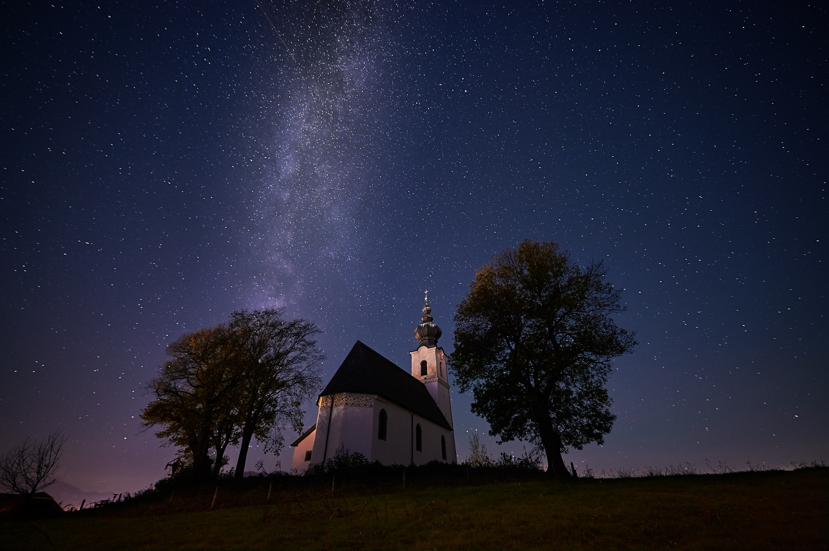 Trees and Church