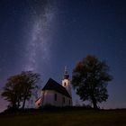 Trees and Church