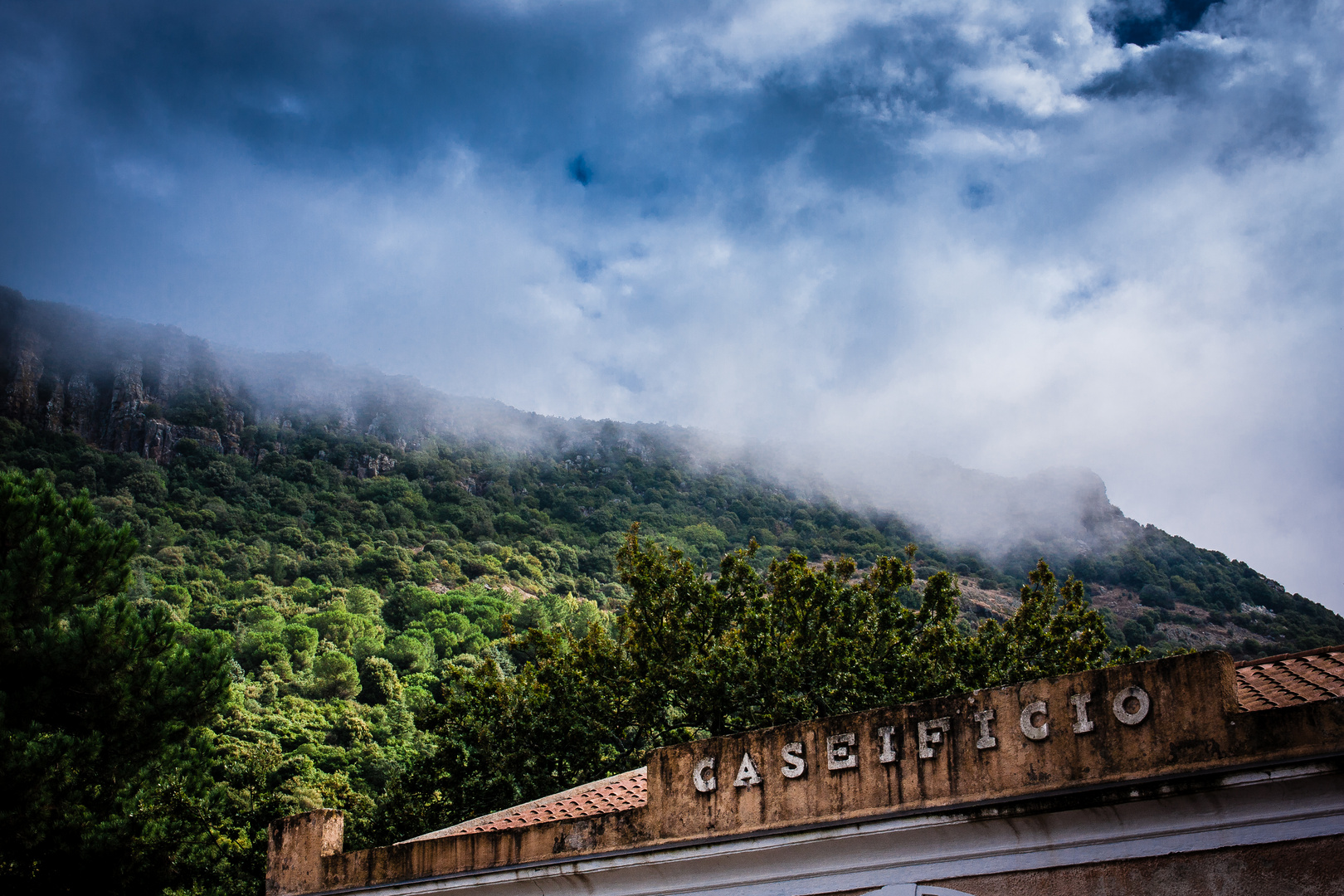 Trees And Clouds!