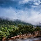 Trees And Clouds!