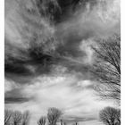 Trees and clouds