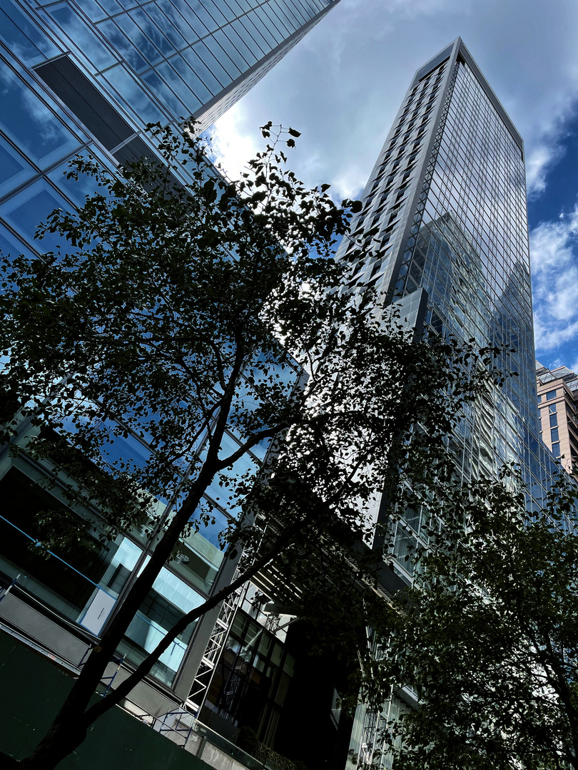 trees and structures