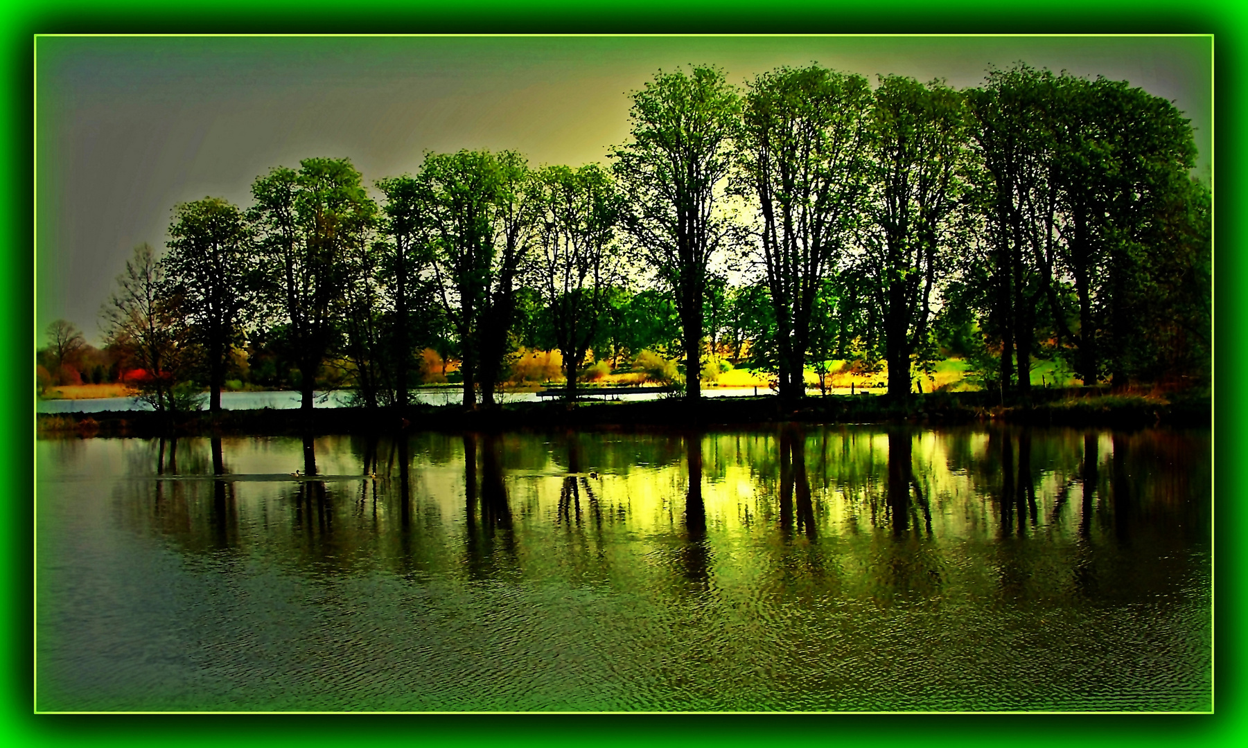 Trees in the water  -  Bäume im Wasser