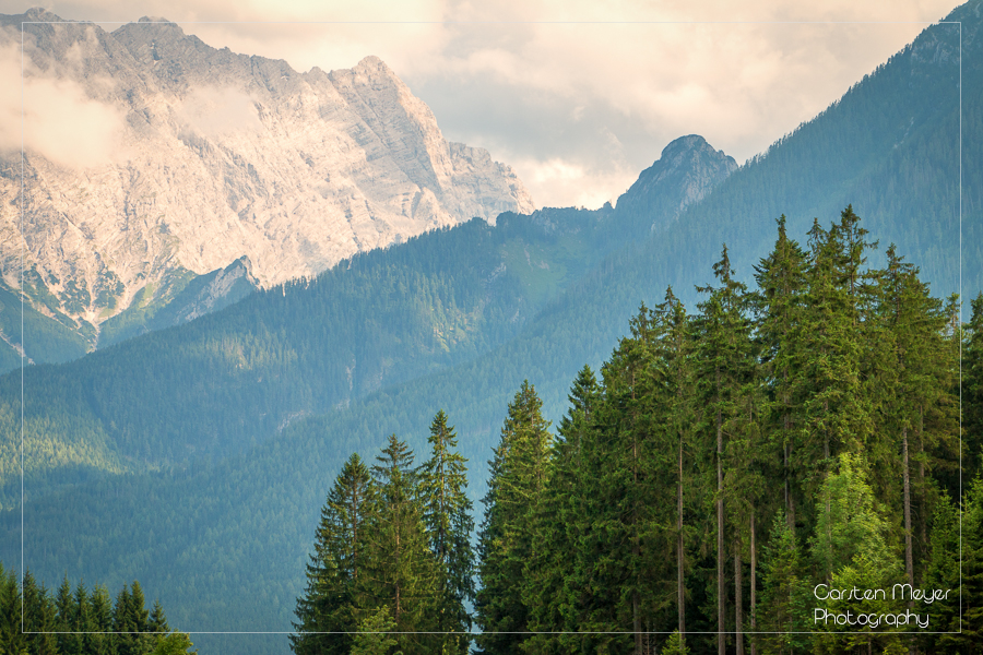 Trees & Mountains