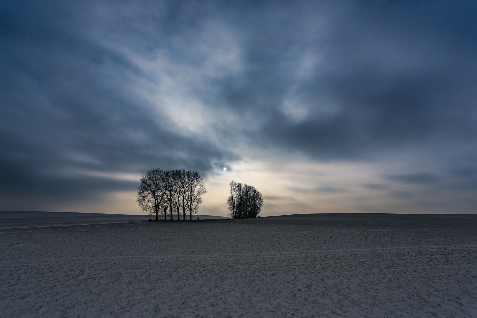 Trees near Wolfenbüttel...